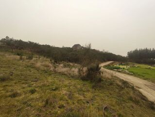-8093090492_prod_2300888_slide.jpeg
