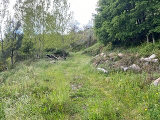 -8093264820_prod_2301278_slide.jpeg