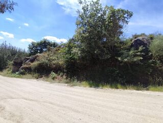 -8093539753_prod_2302155_slide.jpeg