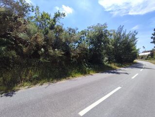 -8093539753_prod_2302165_slide.jpeg