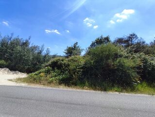 -8093539753_prod_2302166_slide.jpeg
