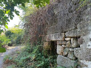 -8097168833_prod_2313683_slide.jpeg