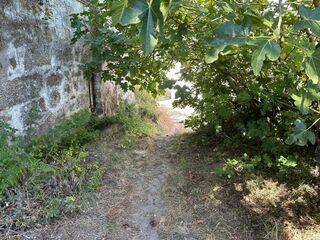 -8097168833_prod_2313688_slide.jpeg