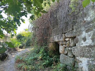 -8097168833_prod_2313699_slide.jpeg