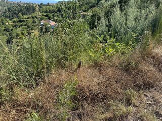 -8097173817_prod_2313712_slide.jpeg