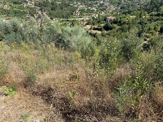 -8097173817_prod_2313714_slide.jpeg