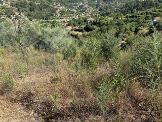 -8097173817_prod_2313721_slide.jpeg