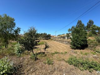 -8097250259_prod_2314034_slide.jpeg