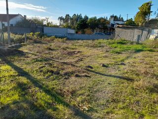 -8097284026_prod_2314049_slide.jpeg