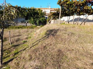 -8097284026_prod_2314050_slide.jpeg