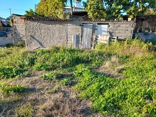 -8097284026_prod_2314054_slide.jpeg