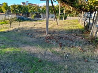 -8097284026_prod_2314062_slide.jpeg