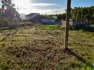 -8097284026_prod_2314063_slide.jpeg