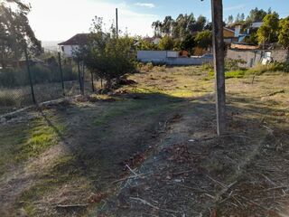 -8097284026_prod_2314068_slide.jpeg