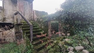 -8102355997_prod_227973_slide.jpg