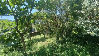 -8107695677_prod_255148_slide.jpeg