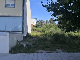 -8135520131_prod_695255_slide.jpg