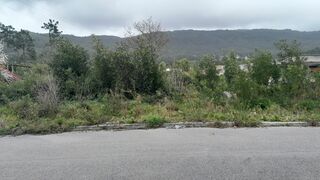 -8609673022_prod_741999_slide.jpeg