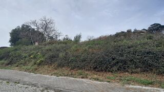 -8945986383_prod_741906_slide.jpeg