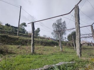 -212566679_ID3faf8d01-0000-0500-0000-000014974a58.jpg