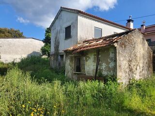 -706187310_1uvt9gz95v8zefrr.jpg