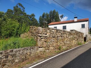 -706187310_fv2vm61z3lhkxkq2.jpg