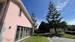 -210249267_IDb2ea6401-0000-0500-0000-000011ad1636.jpg