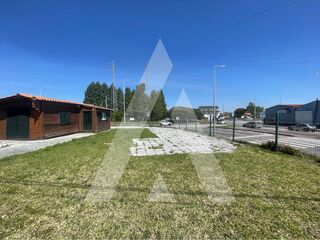-213145000_ID5e799901-0000-0500-0000-000015c165a4.jpg