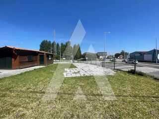 -213145000_ID5e799901-0000-0500-0000-000015c165a7.jpg