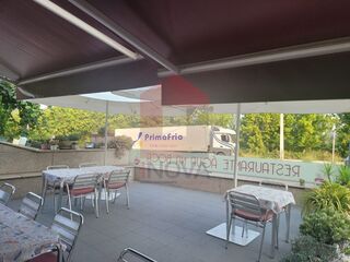 -221018371_5b5082a6-6e17-4bab-9d46-b39f36eff039.jpg