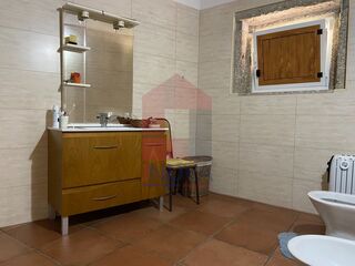 -221057177_14b7f503-49f1-4bd0-afcd-9b2296c42744.jpg