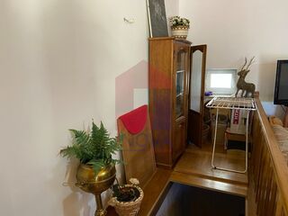 -221057177_97e9efb1-24d7-4d2f-a9c3-61b0017e9ece.jpg