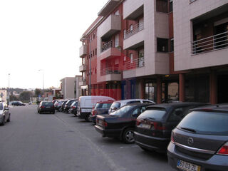 -290749918_570906bc-d16f-4daf-b919-2a0f87ec66f5.jpg