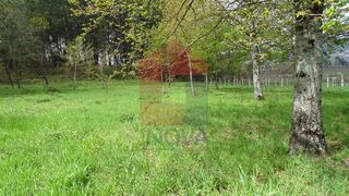 -290749951_6f572039-87c8-482f-a430-5fcd2c645605.jpg
