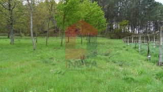 -290749951_b86140b6-3452-44ac-9d76-5e719317031e.jpg