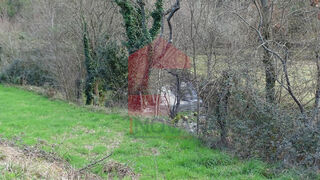 -290749975_41536d7b-8cb4-4a27-ac97-107dde250f88.jpg