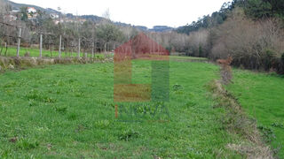 -290749975_8b721133-2320-4b69-979e-539c5cee4d80.jpg