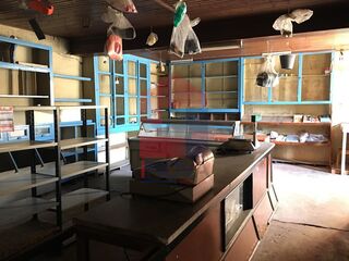 -290750303_fda5f1a0-f4f5-4567-bd68-15af57749641.jpg