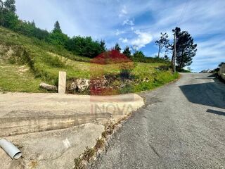 -290751138_55811abb-6de9-4b1d-857a-aea62bcefb28.jpg
