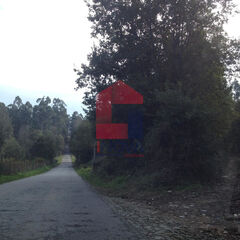 -290751350_aa3ecb04-6beb-44b8-81c0-05ec82f8561b.jpg
