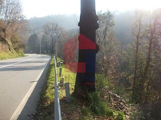 -290751827_bdb1a7af-e65c-4930-ad80-0c16f1441474.jpg