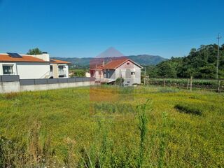 -290752266_7ea26b37-0565-4b66-a165-2732ac10e118.jpg