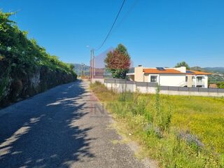-290752266_e7ceae66-fabb-47bc-a6d4-f65fad892297.jpg