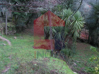 -290753073_342dcc02-f531-4c37-9cf0-816e7b5a4ac7.jpg