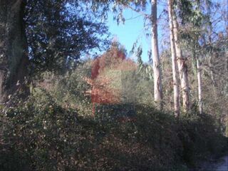 -290753116_ec16e48d-dfa3-45a9-90b0-c6b8417496ed.jpg