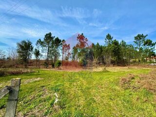 -290753936_8492b317-cf7a-4bee-9ac2-2df19090f8ff.jpg