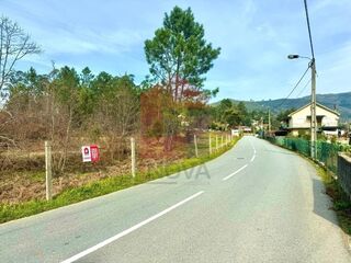 -290753936_9d950508-5a51-4070-a8da-809faa9de4c8.jpg