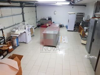 -290763447_f4aa2158-a0b1-4113-a6a9-27315ed8d4ac.jpg