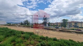 -290876208_0d0d2aee-3ddc-4dda-b44c-e5eafa0e714f.jpg