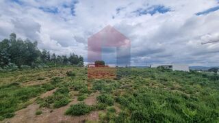 -290876208_3abf021e-28f4-45d5-81e1-be04516b979e.jpg